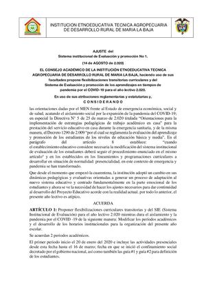 Ajuste Del Sistema De Evaluacion Institucional Final