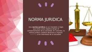 Norma Juridica