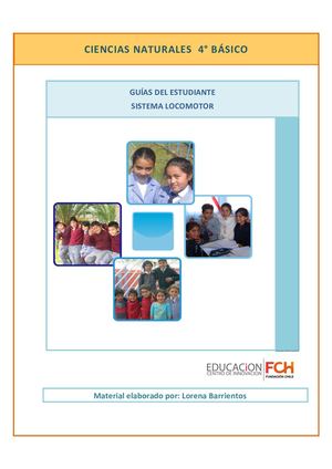 4to Estudiante Sistema Locomotor