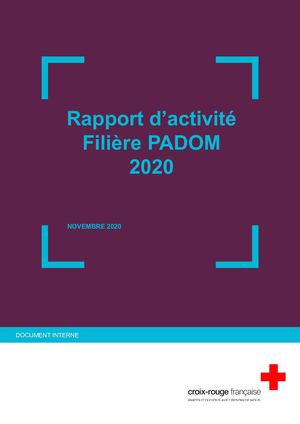20201119 Présentation Rapport D'activité Padom (1) (1)