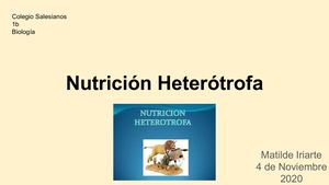 Nutrición Heterótrofa