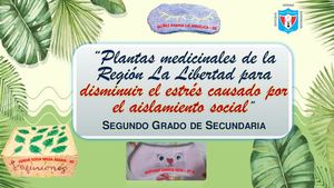 Álbum 2° Secundaria DA