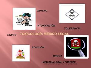 Revista Electrónica Toxicologia Medico Legal Mayra Martinez V13977681