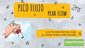 Cartilla Pico Flujo