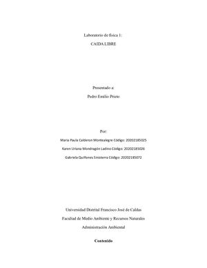 Laboratorio Caida Libre