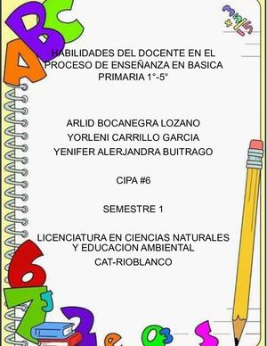 Habilidades Del Docente En El Proceso De Enseñanza En Basica Primaria 1