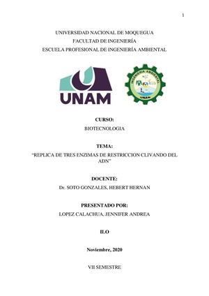 Enzimas De Restriccion