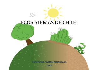 Ecosistemas De Chile 2020