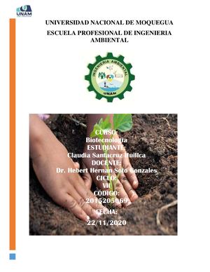 Elaboracion De Maqueta Del Sistema De Biorremediacion De Suelo