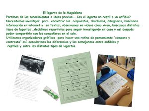 El Lagarto De La Magdalena