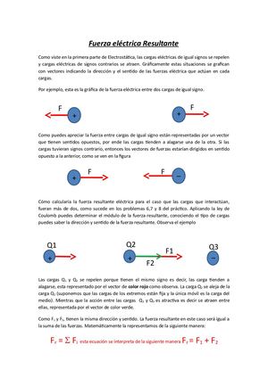 Trabajos Practicos Calameo Di Risio 5to Naturales