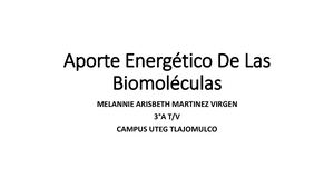 Aporte Energético De Las Biomoléculas