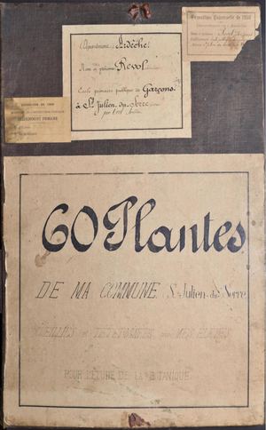 Herbier Jules Revol 60 Plantes De Ma Commune Saint Julien Du Serre