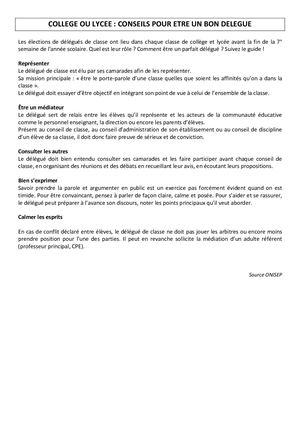 Conseils Pour ÊTre Un Bon Delegue