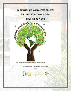 Beneficios De Las Huertas Caseras