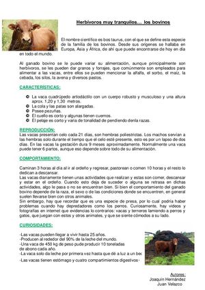Joa Y Juan