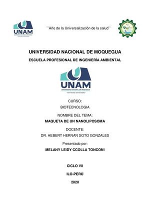 Maqueta de un Nanoliposoma