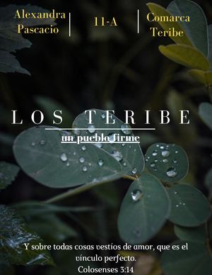 Revista Teribe/Alexandra Pascacio 11-A