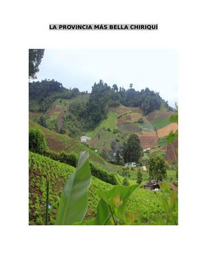 Trabajo De Chiriqui Evelyn Mena 7C
