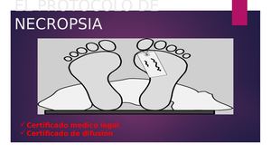 El Protocolo De Necropsia