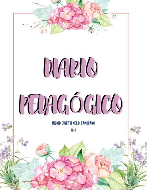 Diario Pedadógico