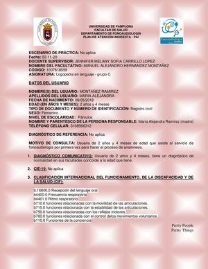 Pai Plan Atención Indirecta Anamnesis