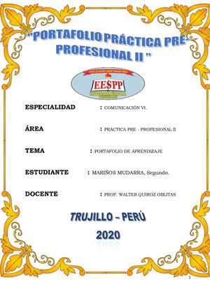 Portafolio De Practica Pre Profesional Ii