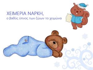 ΧΕΙΜΕΡΙΑ ΝΑΡΚΗ