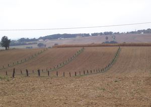 Exemples Agro
