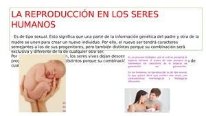 Reproduc Humana 8vos F G Sem3