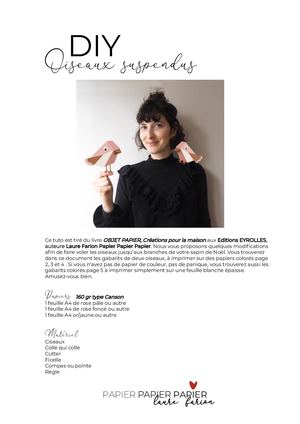 Diy Oiseaux Laure Farion