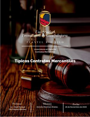 Documento 17 Mercantil