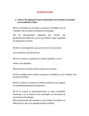 1 2 Punto División Celular