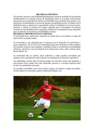 Destrezas Motoras