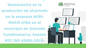 Guia Riesgo Biomecanico