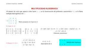 Multiplicidad