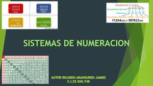 Ricardo Aranguren Sistema Numerico