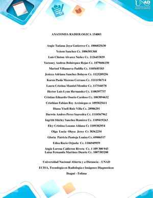 UNAD/Laboratorio Anatomía Radiologica 21 Y 22 Nv 2020/UNAD