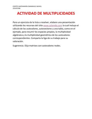 Actividad De Multiplicidades