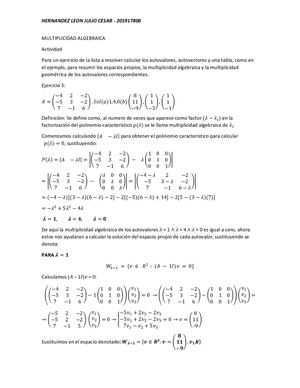 Multiplicidad Algebraica