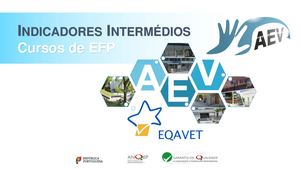Aev Indicadores Intermédios Cursos EFP