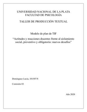 Modelo De Plan De Tif