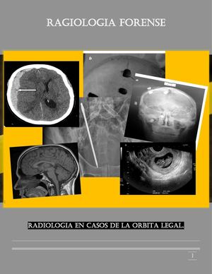 Revista Virtual Pdf 2020