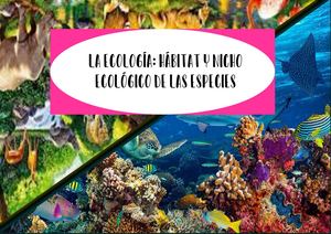 ÁLbum Virtual Ecología