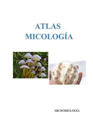Atlas Micologia Daniela Alvarez Y Estefania Zuluaga