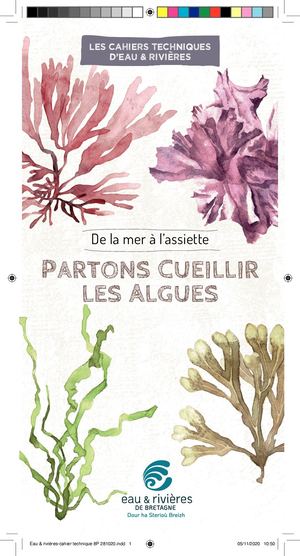 Cahier technique : Partons cueillir les algues