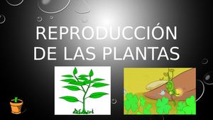 Reproducción De Las Plantas