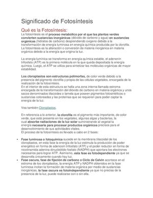 Pdf Fotosíntesis Para Rendir