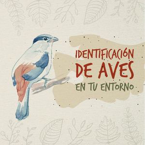 Cartilla pedagógica: Identificación de aves en tu entorno