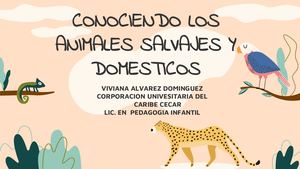 Proyecto De Aula Viviana